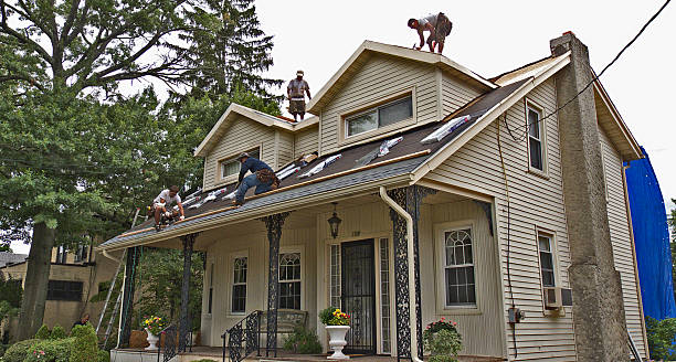 Roof Gutter Cleaning in The Dalles, OR